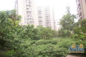 清江雅居2室1厅西南
