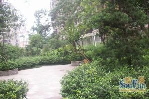 清江雅居3室1厅西