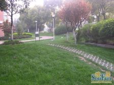 近地铁 家具全送,通风好,产权清晰,必看好房