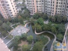 鼓楼大儒世家卧琥电梯高层改善大四房!