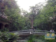 首钢美利山 5室1厅 东南