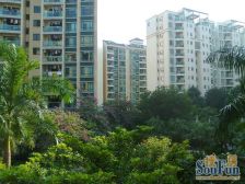 蔚蓝星湖朝南向精装修3房2卫通风采光好价格实惠