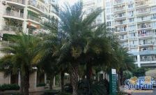 天元美树馆 坡上位置 电梯房 居家装保持好 6米大阳台