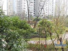 卓锦城一期 3室2厅 西南