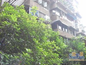 蜀华街57号2室1厅东南