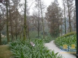 龙湖悠山郡一期4室2厅东南