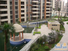 业主自住 可以随时看房 保养很新 适合温馨小家庭