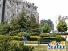 欣畅苑 1室1厅 南