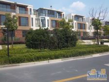 产权清晰 精装,随时看房 新上房源