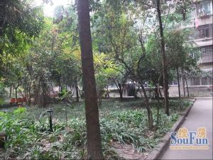 人民中路二段51号2室1厅北