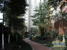 万科魅力之城四期 3室2厅 东南