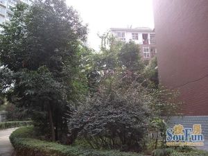四河小区2室2厅南北