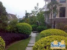 联排端头别墅,4层,带车库带大花园