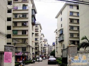 亚峰新区3室2厅南北