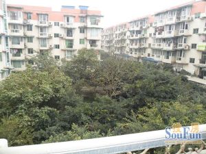 阳光花园(天府新区)3室2厅南