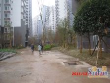 小区环境安静居住舒适,生活便利出行方便。