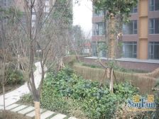 瑞升望江橡树林二期 4室2厅 西北 北 西北