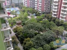 长富新城 1室1厅 北