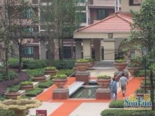 南滨路 珊瑚水岸二期四房350万