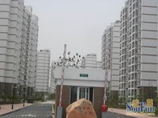 精装自住,近森兰国际商圈近地铁,小区花园位置,诚卖