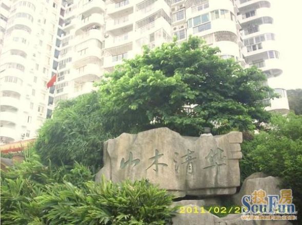 山木清华