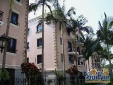 滨北白鹭洲公园别墅使用500平花园