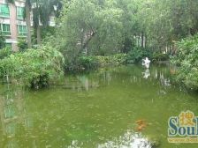 碧桂园西苑78方带装修楼层低 保养好 位置安静