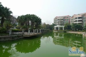 碧桂园西苑听涛居 2室1厅 东北