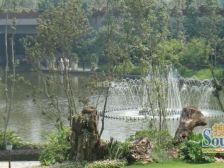 联排别墅大花园朝南2个产权车位,位置安静方便