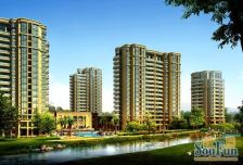 绿城玉兰公寓 中层一梯一户带车位 环境好物业管理好