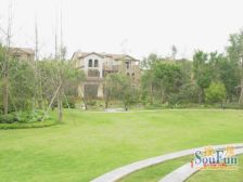 龙湖东桥郡 位置安静 无房产税 中户