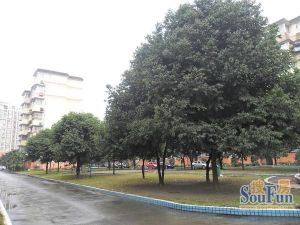 水电花园3室2厅南北