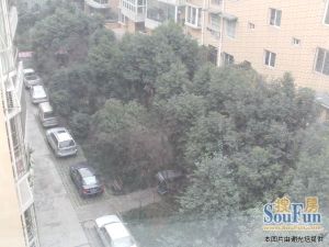 东福家苑4室1厅南