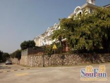 香榭丽居,独栋别墅,草地约500平方,近地铁