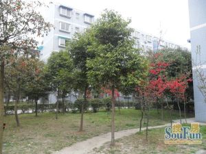 德坤竹韵坊2室1厅东南