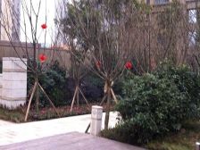 华润精装两房 业主安心卖 房子保持新