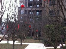 精装修 朝南看中庭 住家安静 华润品质