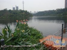 叠拼别墅,正南,全看彩云湖,视野好,装修300万端户