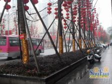 直港大道 君安楼 精装三房出售 出行方便