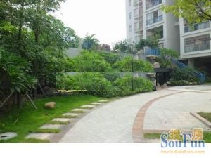 华英、佛实旁,房间大,楼层视野好,环湖本