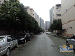 金泉阳光畅新苑1室1厅西北