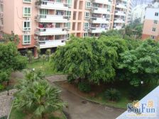 金山晓 三房朝南 通透。居民素质高