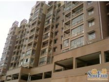 品质楼盘 户型方正 采光好