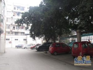 新世纪家园3室2厅南北