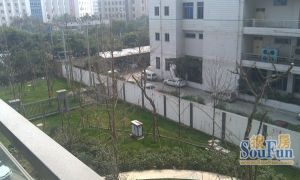 双发金英汇3室2厅南北