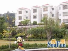 蓝天花语联排别墅 南向 一楼有改造阁楼