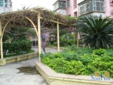 此房 过五唯一 税费少 居家适合 拎包入住