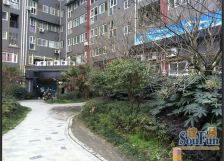 国安尚郡 2室1厅 南 北