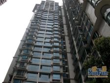 解放碑步行街+洪崖洞+轻轨房+户型正