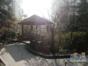 凤凰里小区 3室1厅 东南